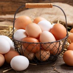 La coquille blanche d’un œuf est-elle vraiment signe d’une meilleure qualité ?