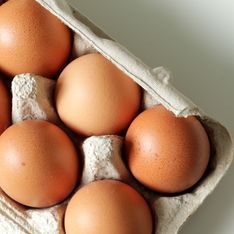 Congeler ses œufs : bonne ou mauvaise idée ?