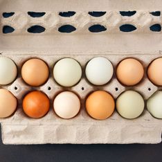 Mais au fait, pourquoi les œufs n’ont pas la même couleur ?