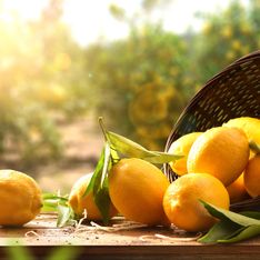 Voici la bonne façon de couper les citrons pour obtenir un maximum de jus (et ce n’est pas celle que vous pensez)