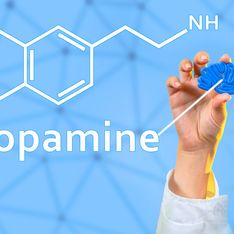 Toda la verdad sobre la dopamina: del placer al equilibrio en tu cerebro