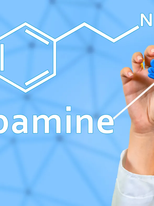 Toda la verdad sobre la dopamina: del placer al equilibrio en tu cerebro