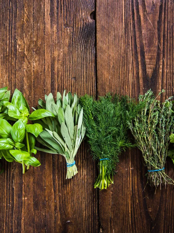 ¡Adiós chinches! 6 plantas aromáticas que mantienen tu hogar libre de insectos molestos