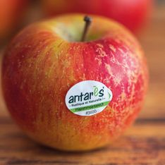 La pomme Antarès®, l’alliance du goût et de la nature