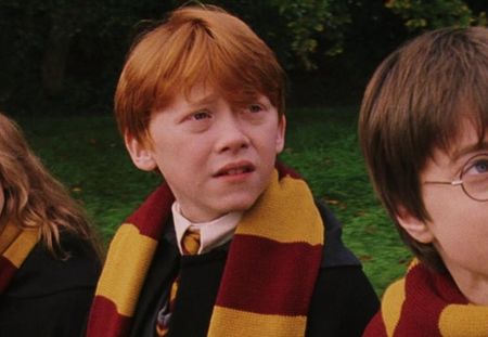 Un Jeune Garçon Avec Des Lunettes Qui Disent Harry Potter.