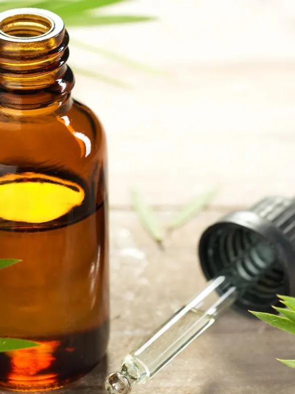 Aceite de árbol de té: Todo lo que necesitas saber sobre sus usos y propiedades