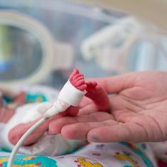 Alerta de la FDA: Peligros de probióticos en bebés prematuros - ¿Qué debes saber?