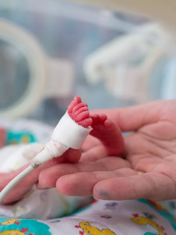 Alerta de la FDA: Peligros de probióticos en bebés prematuros - ¿Qué debes saber?