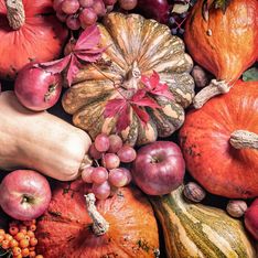 Calendrier des fruits et légumes de saison : que manger en novembre?