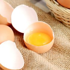 Le jaune d’œuf est-il bon pour la santé ? Un gastro-entérologue livre la réponse