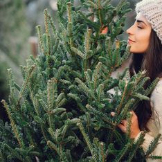 El dilema ecológico de la Navidad: ¿Árbol natural o artificial?