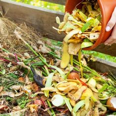 Compost obligatoire : voici les aliments à ne surtout pas mettre dedans