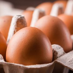 Voici pourquoi les œufs sont toujours vendus par 6 ou par 12