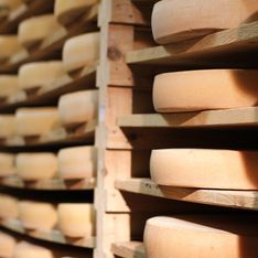Savez-vous pourquoi toutes les meules de fromage du monde sont rondes ? Oui, il y a bien une raison
