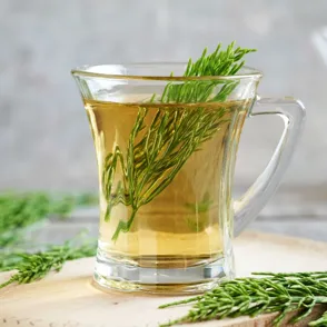 Infusión de cola de caballo, ¿el mejor aliado natural contra la retención de líquidos?