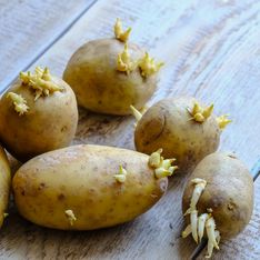 La science a tranché, voici le meilleur moyen d'empêcher les pommes de terre de germer