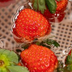 Faut-il laver les fraises pour les conserver plus longtemps ?