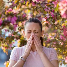 Las 5 alergias más frecuentes actualmente