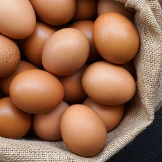 Ce médecin alerte sur les œufs bio, voici pourquoi il déconseille d’en manger !