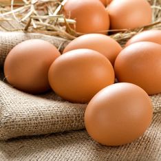 Vous pensiez tout savoir sur les œufs ? Voici 2 idées reçues totalement fausses !