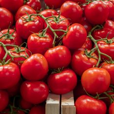 On vous explique les effets sur votre corps si vous mangez des tomates tous les jours