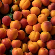 Abricots oranges ou rouges : voici le meilleur des deux à déguster (et ce n'est pas ce que vous croyez)