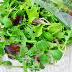 Rappel produit : ne consommez pas ces salades en sachet vendues dans toute la France !