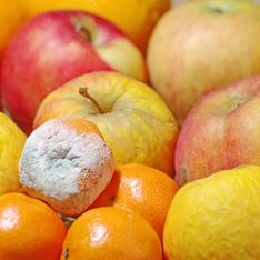Fruits et légumes moisis : voici uniquement ceux que vous pouvez encore manger selon cette virologue