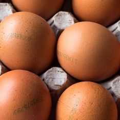 Connaissez-vous la différence entre des œufs frais et extra frais ?