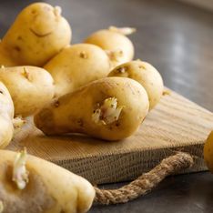 Ne faites pas cette erreur (encore trop courante) si vous avez des pommes de terre germées chez vous