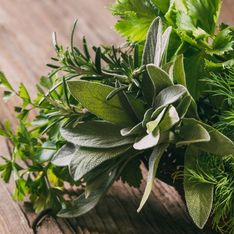 Pourquoi vous devriez mettre plus d'herbes aromatiques dans vos salades cet été