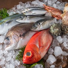 Manger ce type de poisson augmenterait l’espérance de vie selon cette étude !