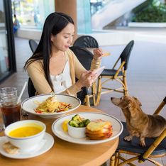 Peut-on vous refuser l’entrée d’un restaurant si vous êtes avec votre chien ? Marmiton répond !