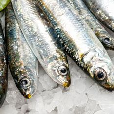 Rappel produit : ne consommez pas ces sardines vendues dans les supermarchés partout en France