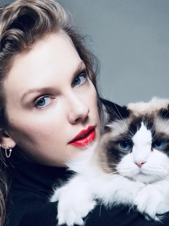 Taylor Swift apoya a Kamala Harris y desata la ira de Elon Musk y seguidores de Trump en las elecciones de EE.UU