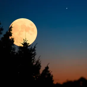 La Luna Llena en Leo iluminará el cielo durante la noche del 12 de febrero y traerá buenas noticias a estos 4 signos