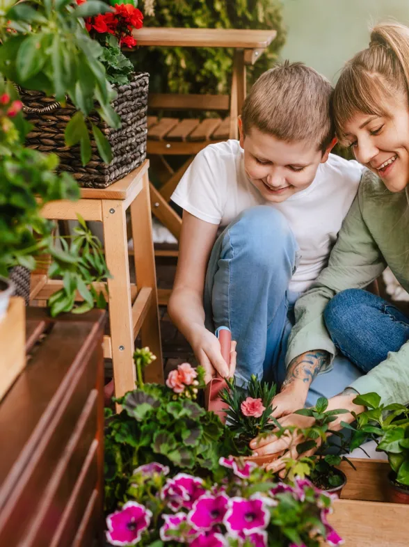 Aldi 'regala' desde 1,69 € las plantas que transformarán tu balcón en un pequeño oasis particular: margaritas, calas...