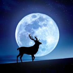 Luna de Ciervo 2025: así es cómo afectará esta luna llena del 10 de julio a tu signo (y estos 4 lo notarán aún más)