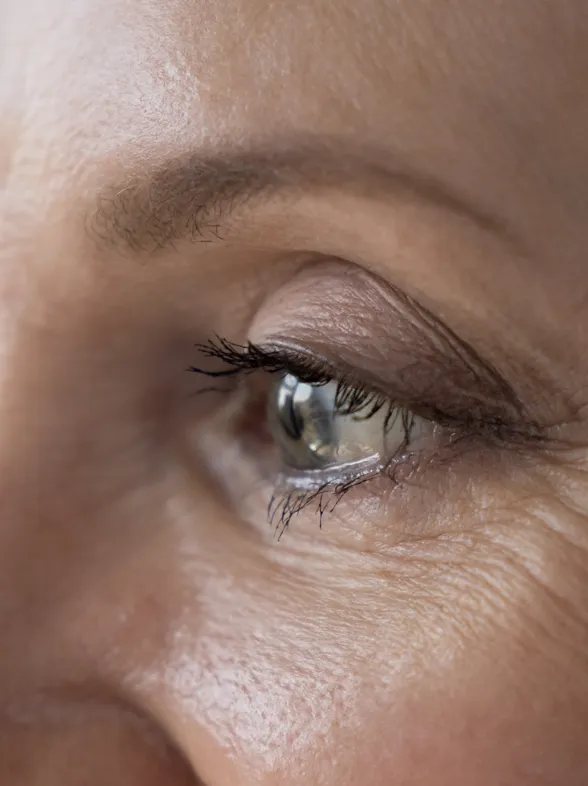 Cejas finas y escasas: la técnica del “triángulo dorado” que lo cambia todo para rejuvenecer el rostro después de los 60