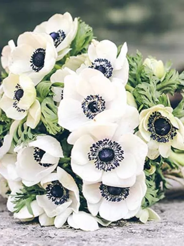 Elegir las flores de tu boda