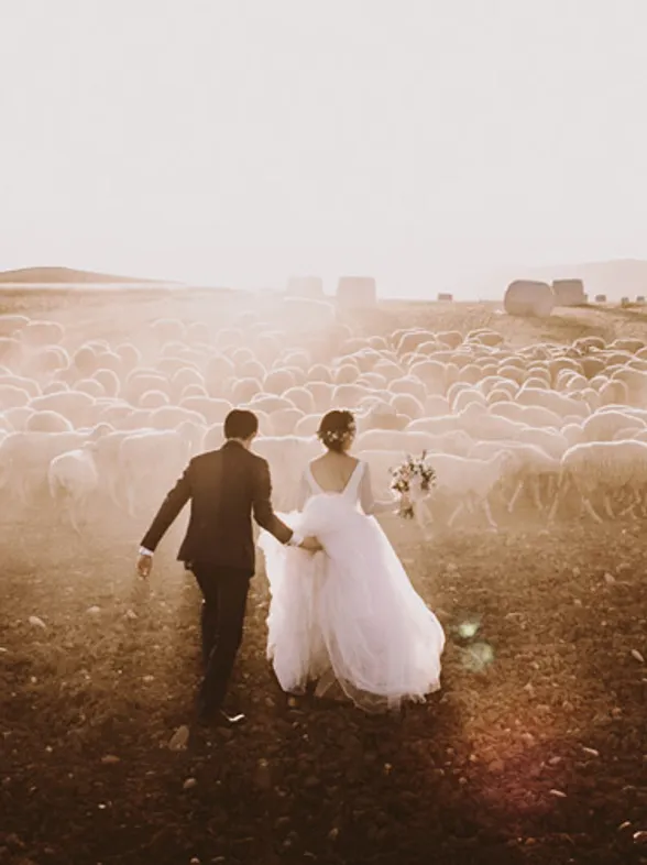 Fotógrafos de boda: tu historia de amor a golpe clic