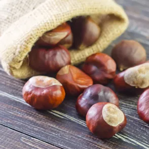 La castaña, el sabor inconfundible del otoño