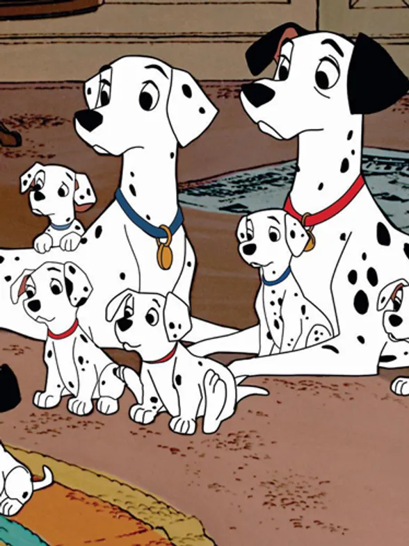 10 razones por las que tener perro te hará más feliz