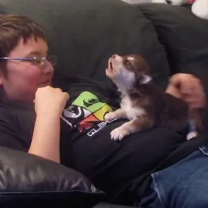 Lecciones perrunas: un cachorro aprendiendo a aullar