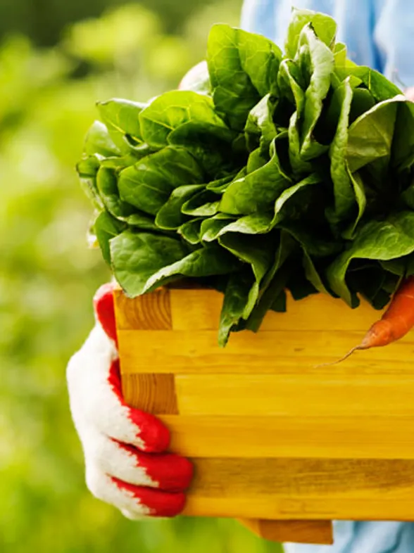 Dieta Paleolítica: claves para llevarla a cabo