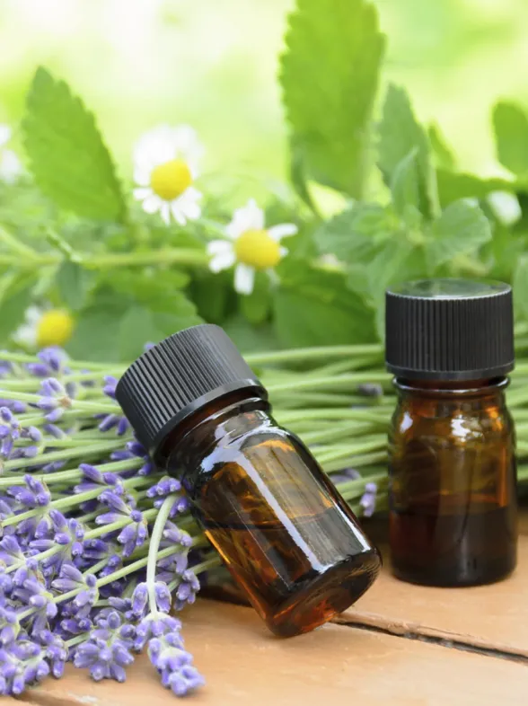 Aceites esenciales: todo lo que tienes que saber