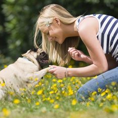 10 motivi per cui (forse) prendere un cane non fa al caso tuo