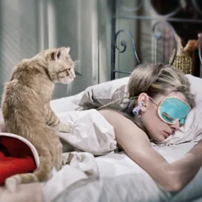 8 razones para preferir a tu gato antes que a tu chico