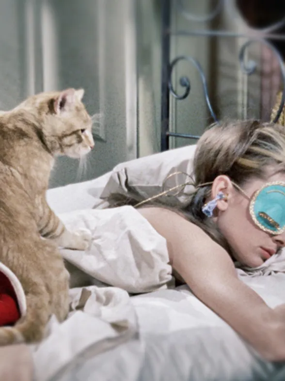 8 razones para preferir a tu gato antes que a tu chico