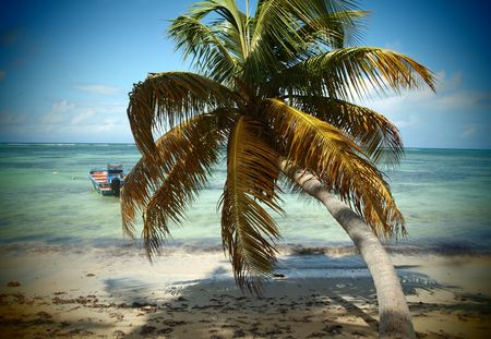 Vacances en Guadeloupe : quel hôtel choisir ?